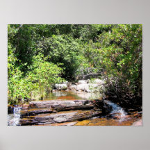 Creek Landscape Poster