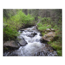 Creek near Sagehen, ID - #0790 Photo Art