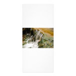 Creek rack cards