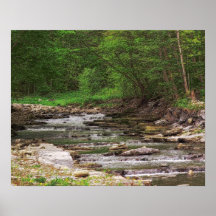 Creek Scene Poster