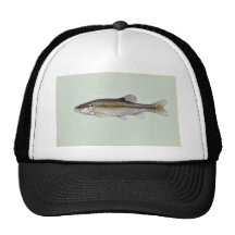 Creekchub Hat