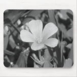 Creeping Oxalis Mouse Pad