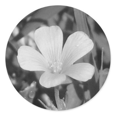 Creeping Oxalis Stickers by princessklb07