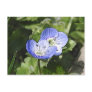 Creeping Speedwell (Veronica filiformis) Flowers Post Card