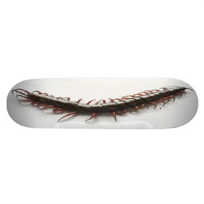 Creepy Centipede Skateboard by alinaspencil
