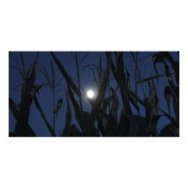 Creepy Corn Maze Personalized Photo Card
