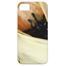 Creepy Crawler iPhone 5 Covers