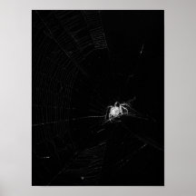 Creepy Crawly Print