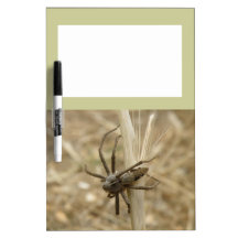 Creepy Crawly Spider Memo Board Dry Erase Boards