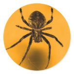 Creepy Halloween Spider Stickers