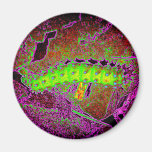 Creepy psychedelic caterpillar vibrant colours fridge magnet