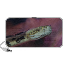 Creepy Snake Travelling Speaker