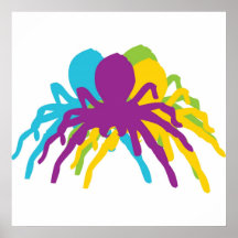 Creepy Spiders Poster