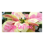 Crème rose de poinsettia carte avec photo