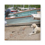 Creole dog refrigerator magnets