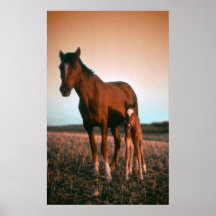 Crépuscule Posters