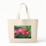 Crescent of Cymbidium Tote Bag