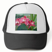 Crescent of Cymbidium