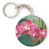 Crescent of Cymbidium