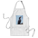 Crested Auklet, St. George Island, Pribilofs Apron