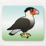 Crested Caracara