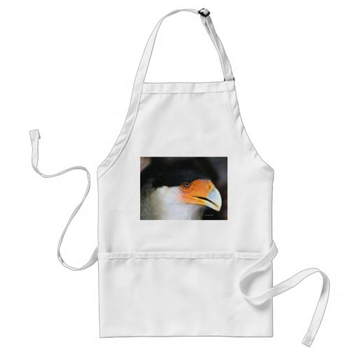 Crested caracara hawk head shot picture photo aprons