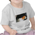 Crested caracara hawk head shot picture photo shirt