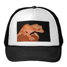 crested gecko mesh hat