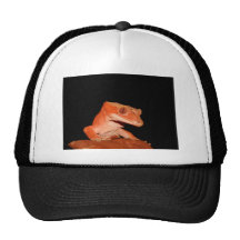 crested gecko trucker hat