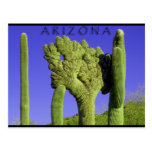 Crested Saguaro in Congress, Arizona Post Cards