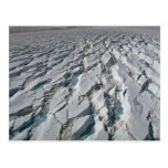 Crevassed glacier postcard