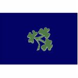 Cricket Ireland, Ireland Acrylic Cut Outs