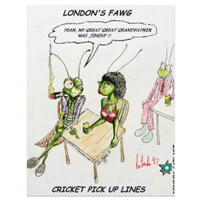 Cricket Pick-Up Lines Funny Gifts Tees Collectable Personalized Flyer by beardiethor123
