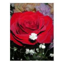 CricketDiane Red Rose and Silk Flowers Postcards