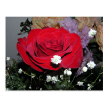 CricketDiane Red Rose and Silk Flowers Postcards