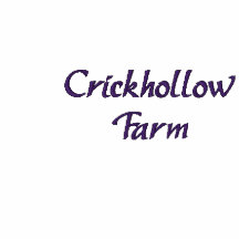 Crickhollow Embroidered Polo
