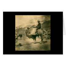 Crimean War Soldier on a Camel 1855 Card