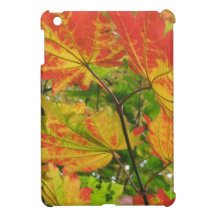 Crimson Leaves