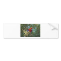 Crimson Rosella Bumper Sticker