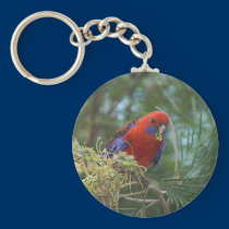 Crimson Rosella keychains