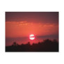 Crimson Sky Postcard