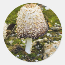 Crinière hirsute autocollant rond