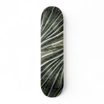 Crinoid arms reaching into the current to collect skate board