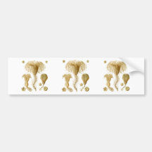 Crinoids Bumper Stickers