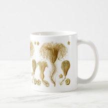 Crinoids Mugs