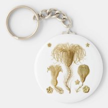 Crinoids Porte-clef
