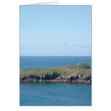 CRIQUE LES CORNOUAILLES DE MENEAU CARTES DE VŒUX