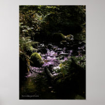 Crique louche posters