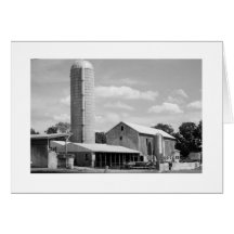 Crisp Summer Day Note Card