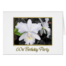 Crisp White Orchids Birthday Party 60 Greeting Cards